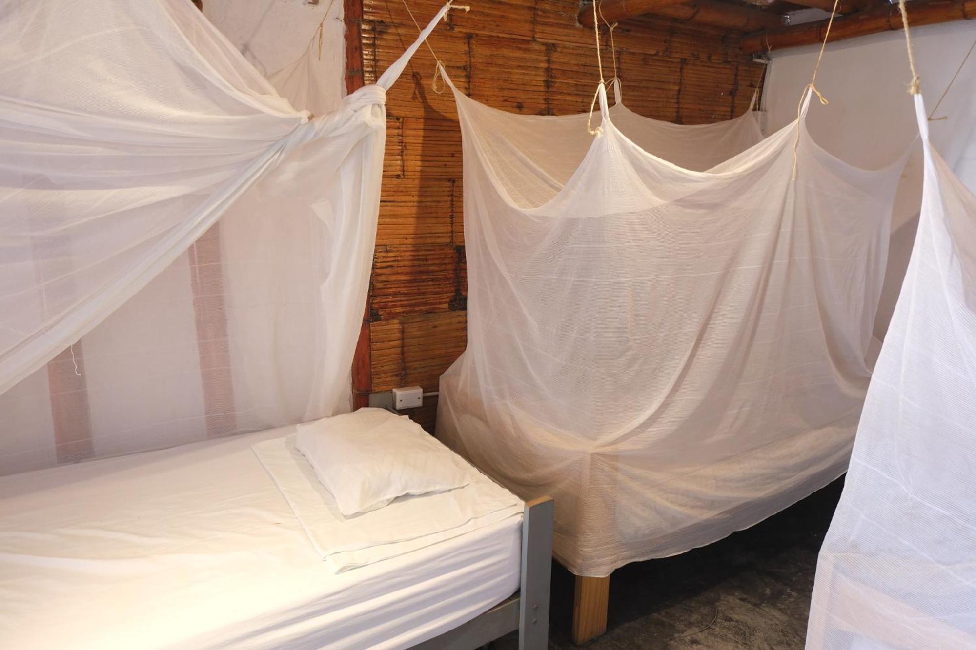 Wally'S House Mancora Ngoại thất bức ảnh
